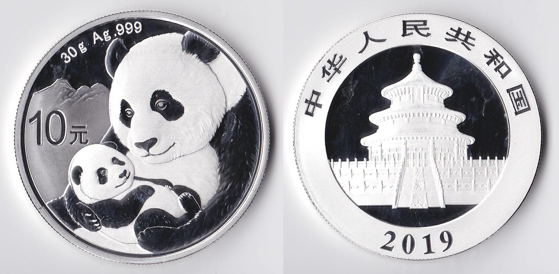 2019 china panda.jpg