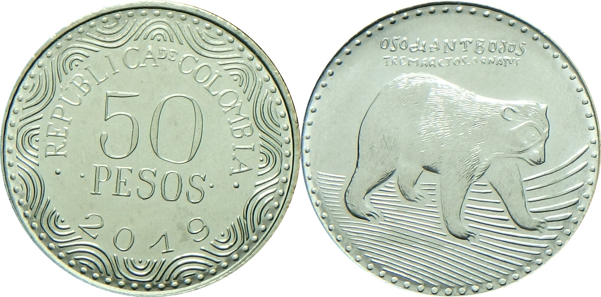 2019 CO 20 p.jpg