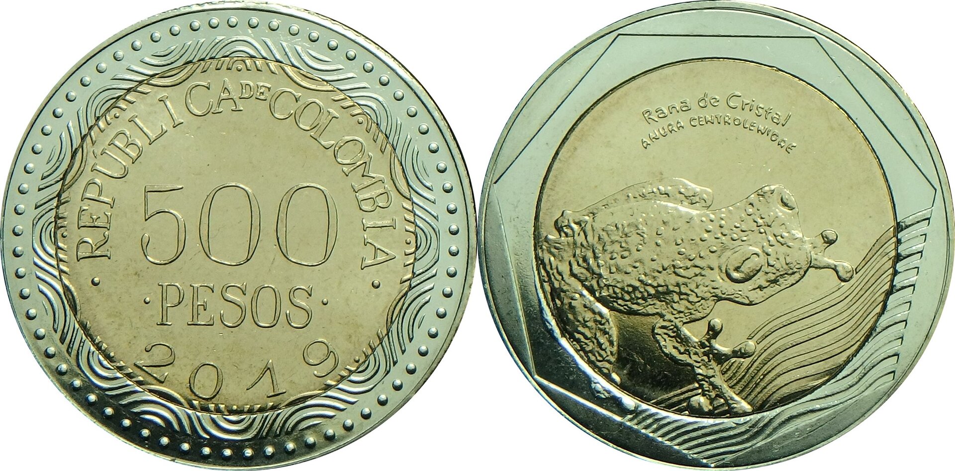 2019 CO 500 p.jpg