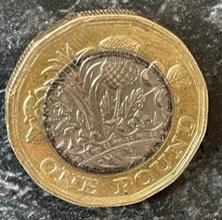 2019 GB £1 coin dark ring 1.jpg