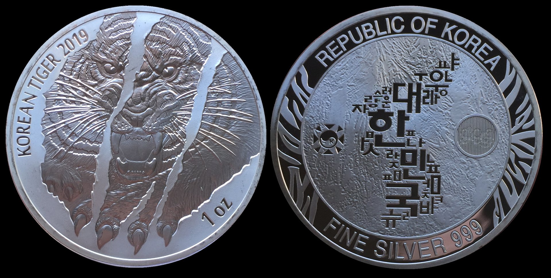 2019 Korean Tiger.jpg
