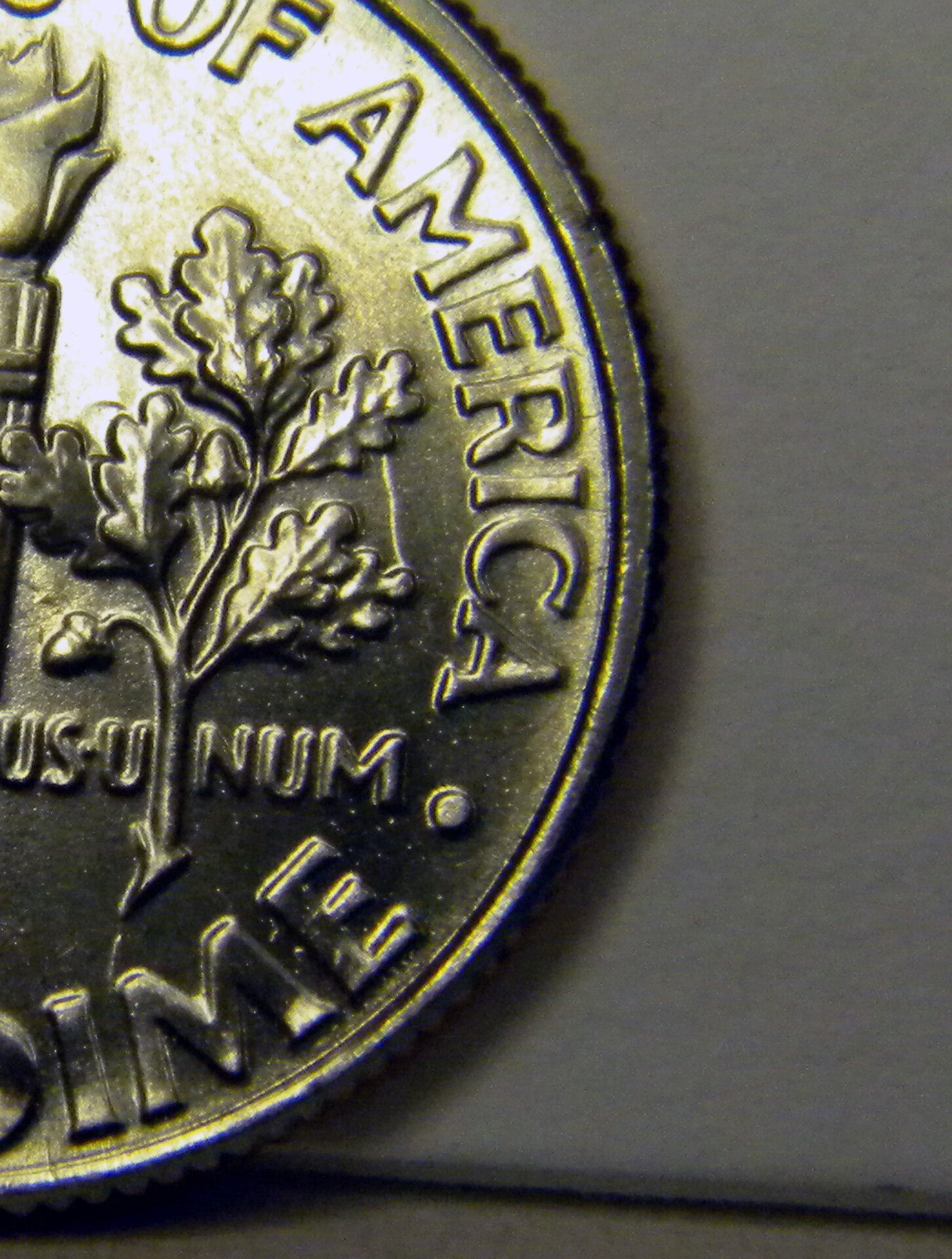 2019 P Roosevelt Dime (ReverseSide2).jpg