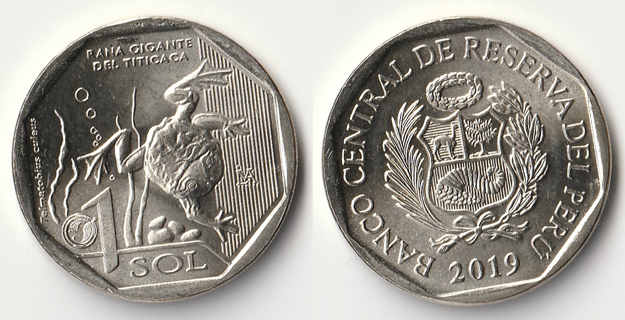 2019 peru 1 sol frog.jpg