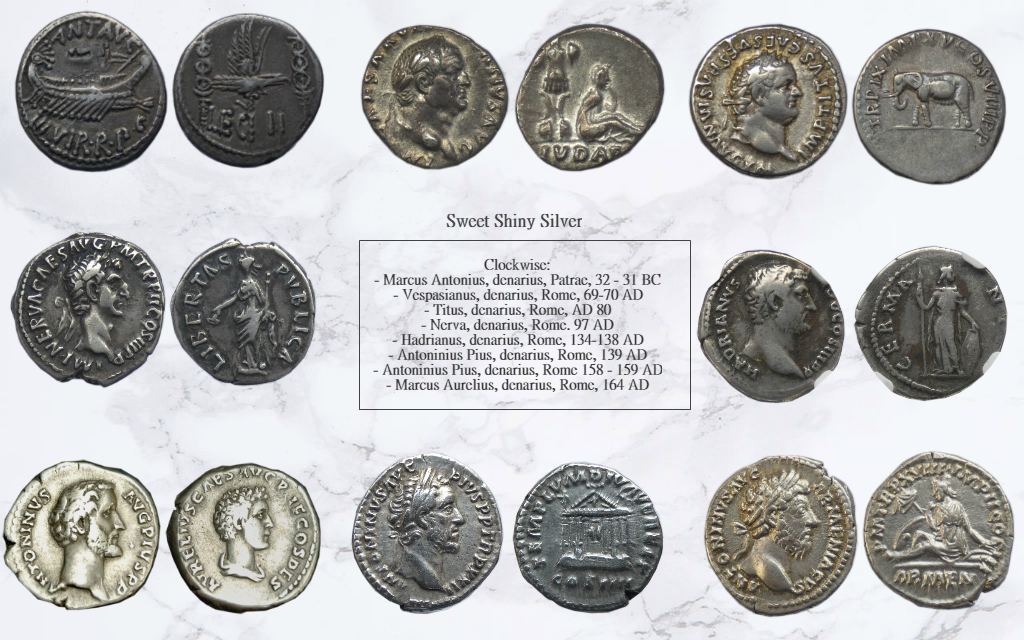 2019 Shiny Sweet Silver.png
