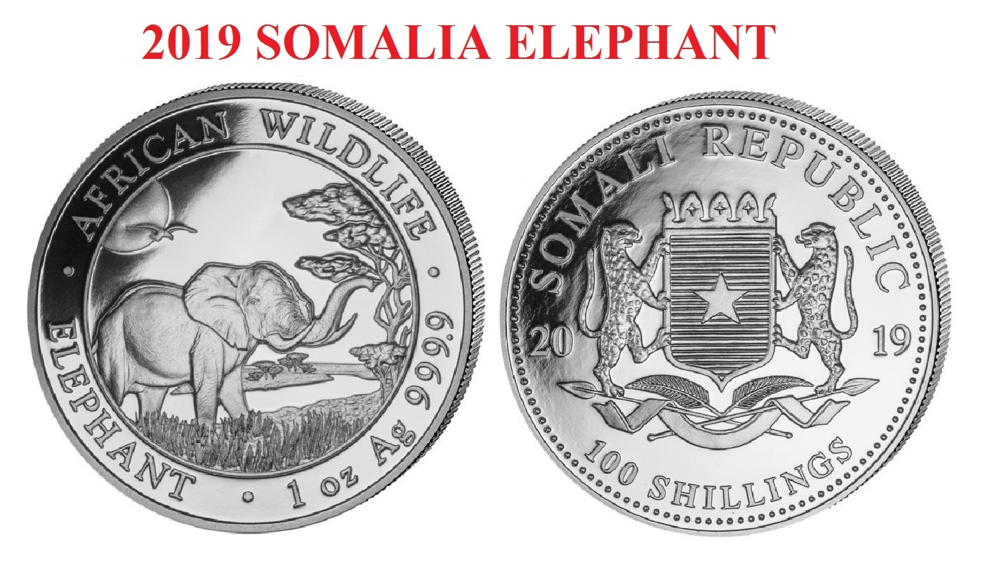 2019 SOMALIA ELEPHANT.jpg
