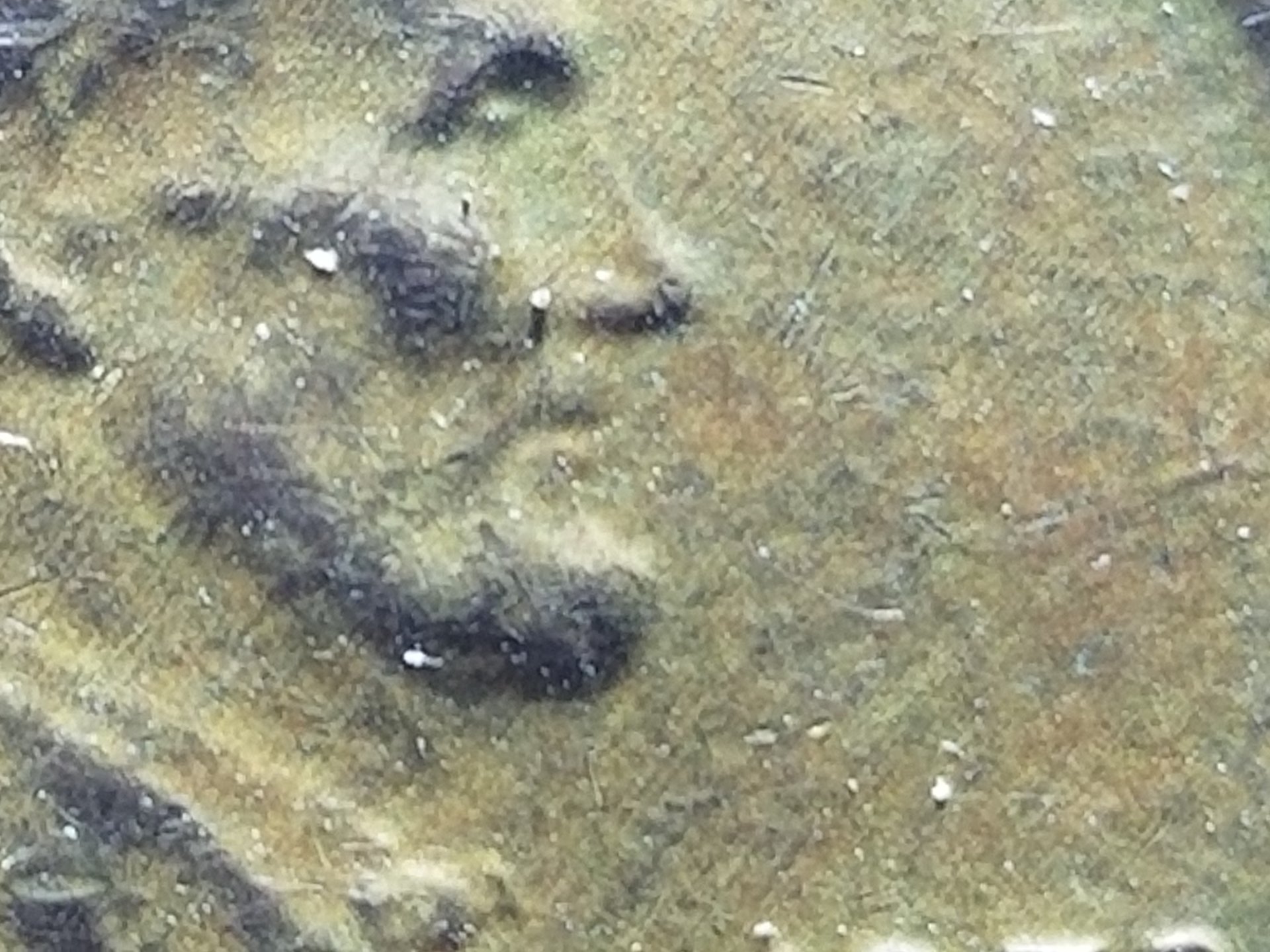 20190102_201101.jpg