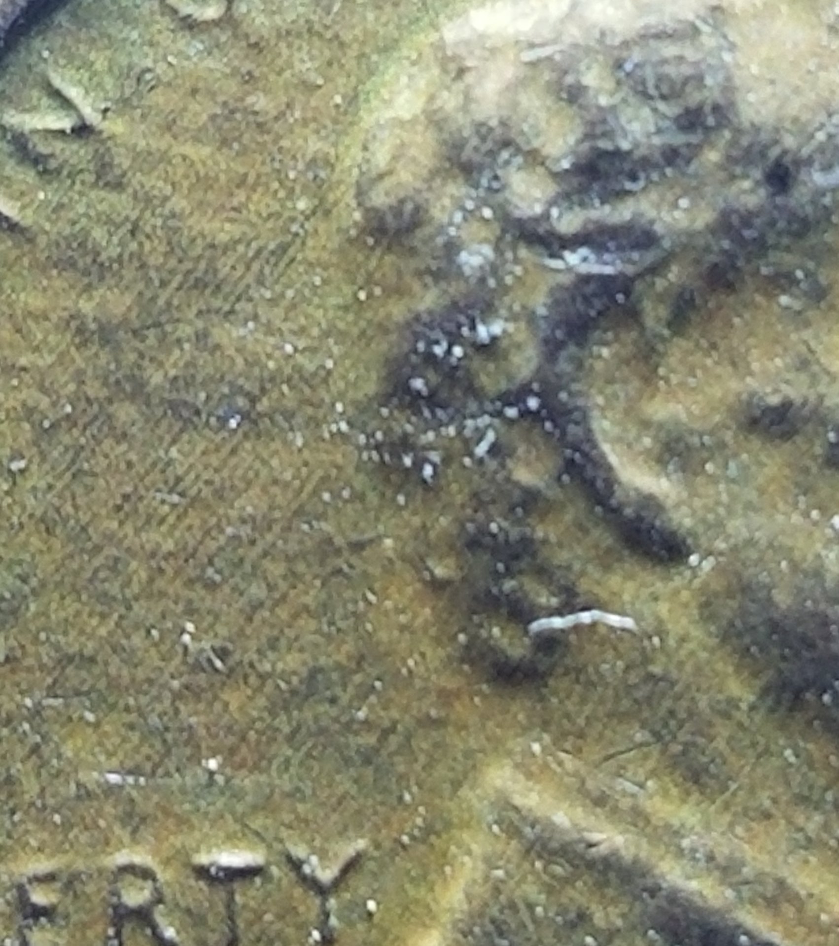 20190102_201121.jpg