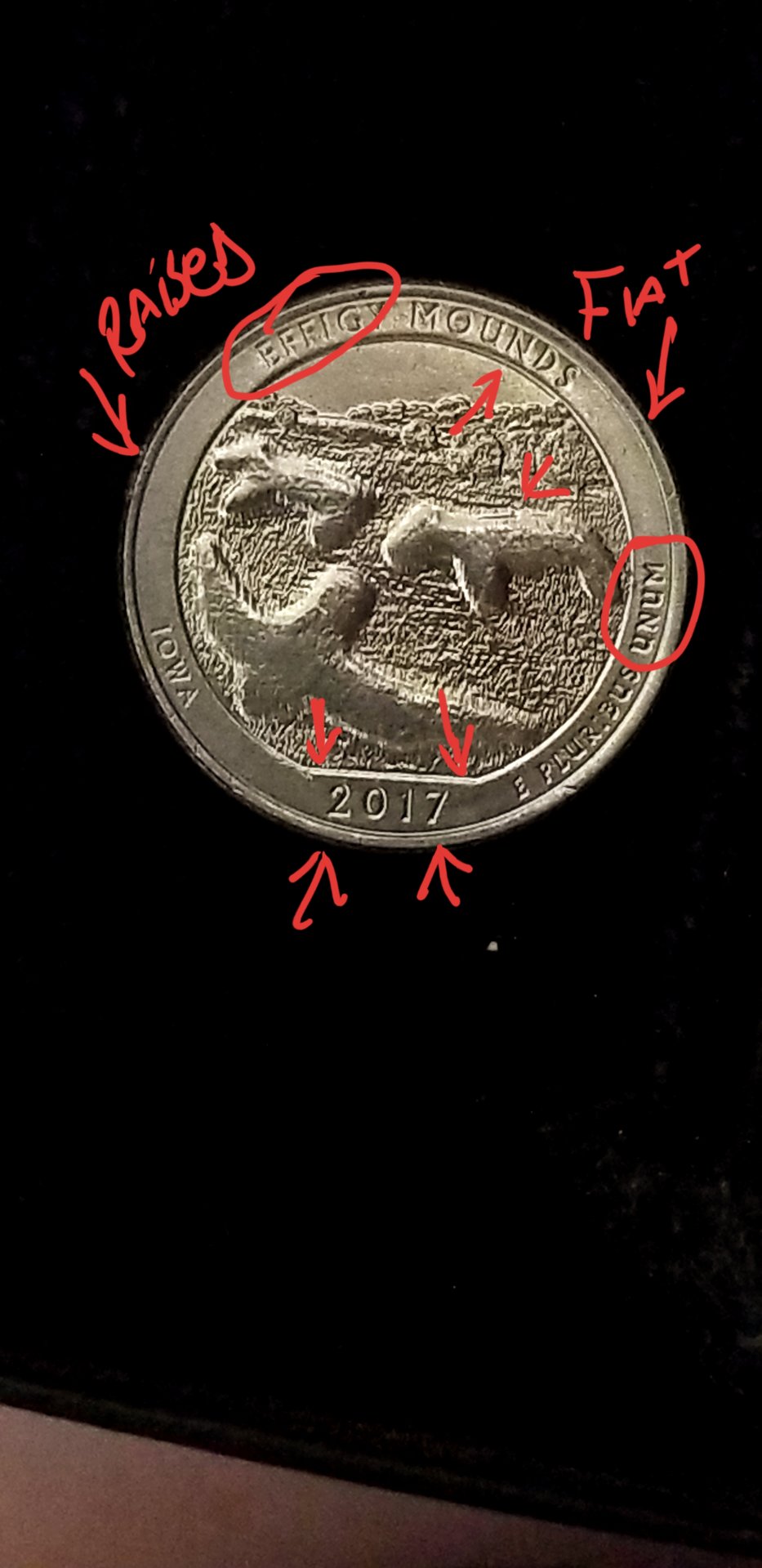20190105_235933.jpg
