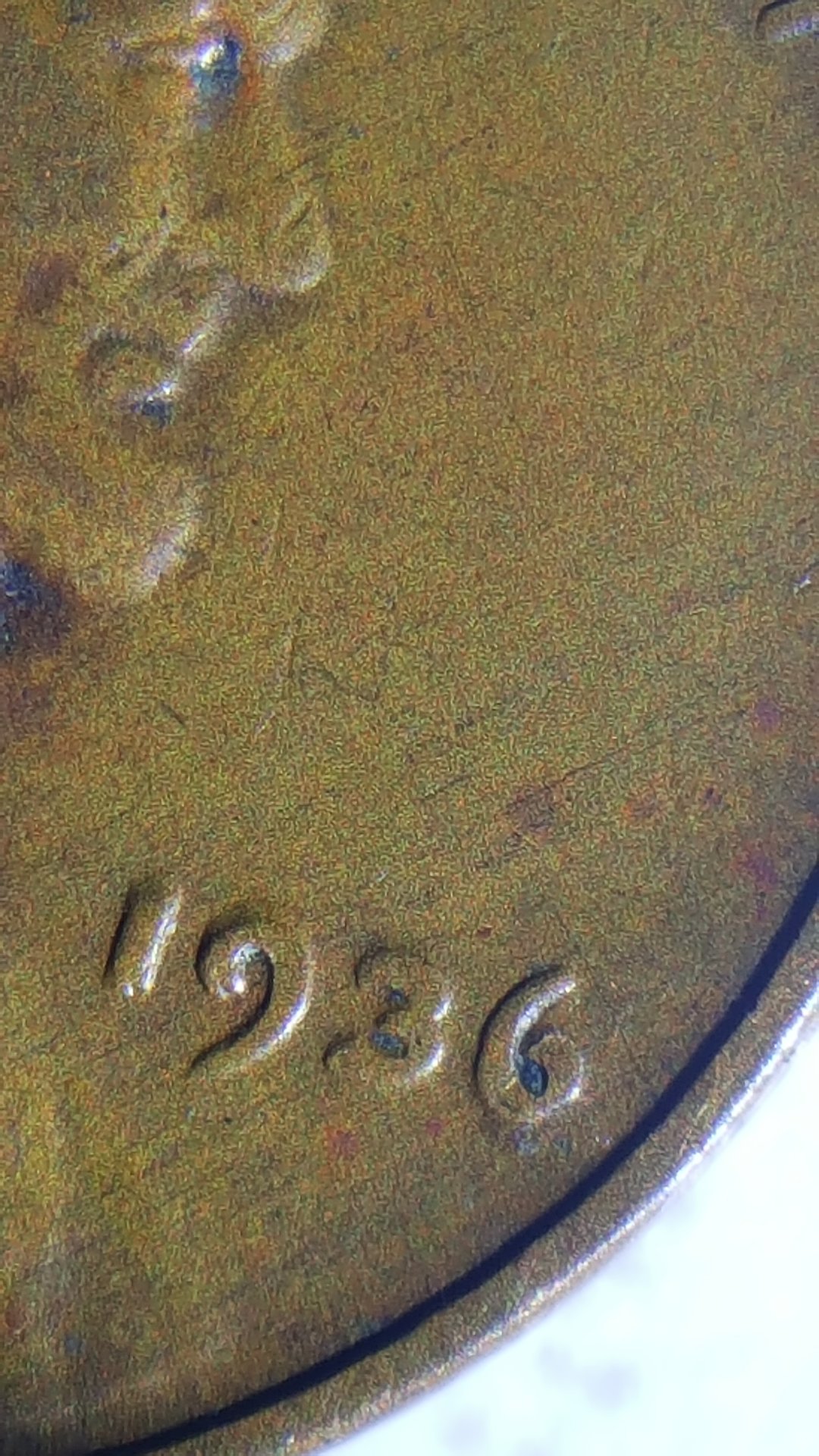 20190106_130302.jpg