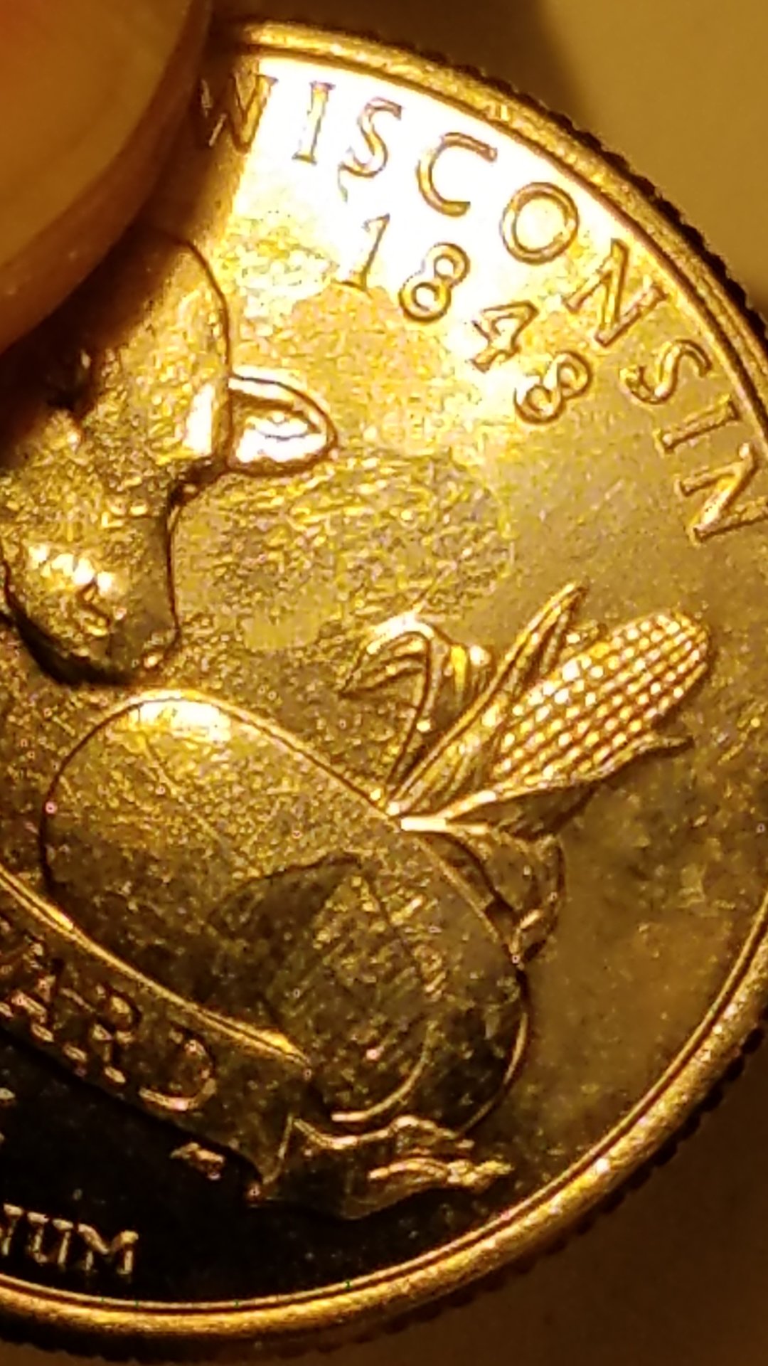 20190108_141249.jpg