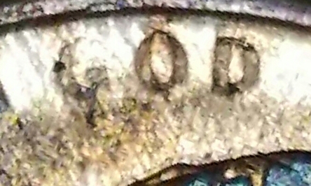 20190110_014231.jpg