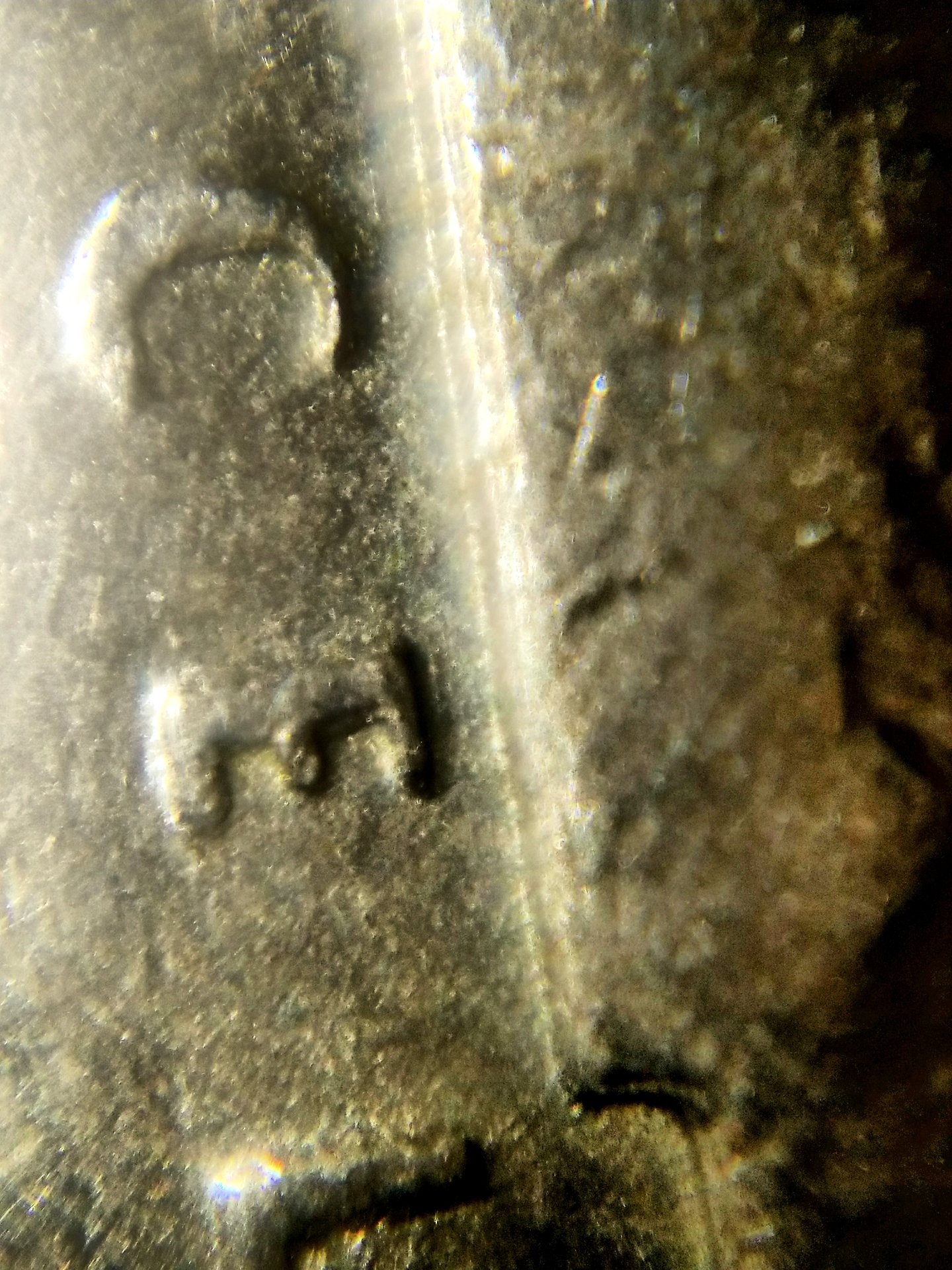 20190112_222443.jpg