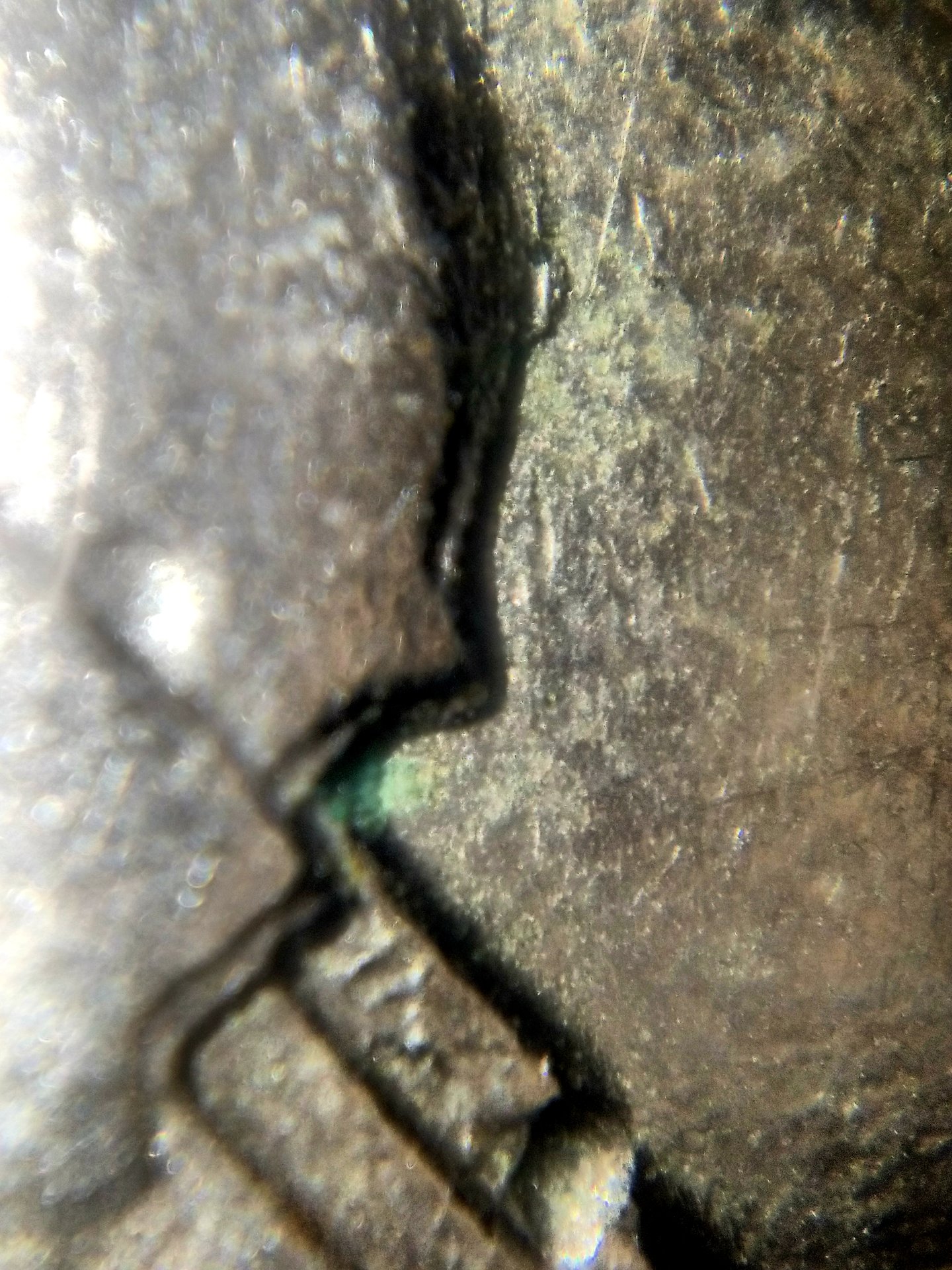 20190112_222544.jpg