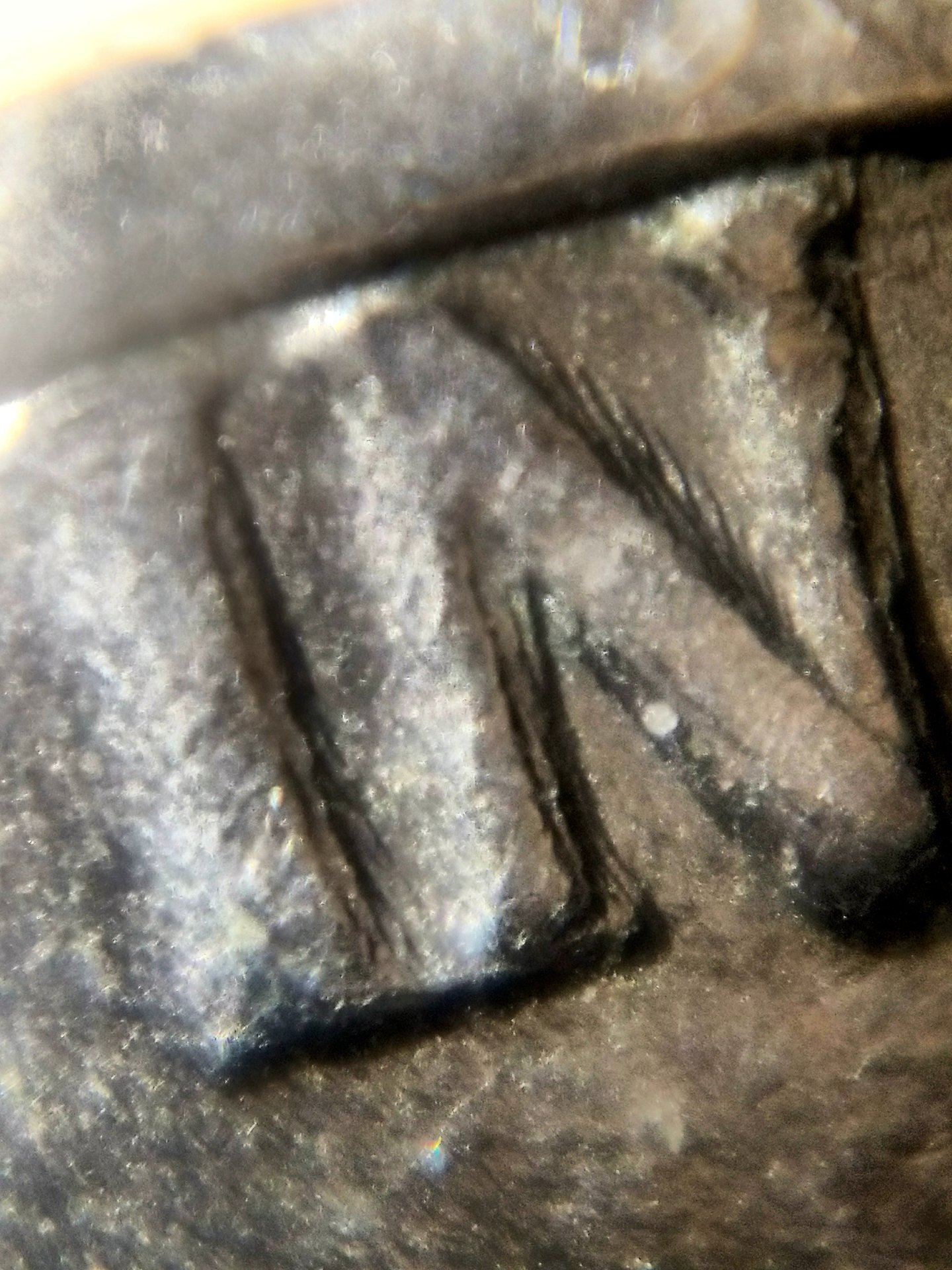 20190112_223149.jpg