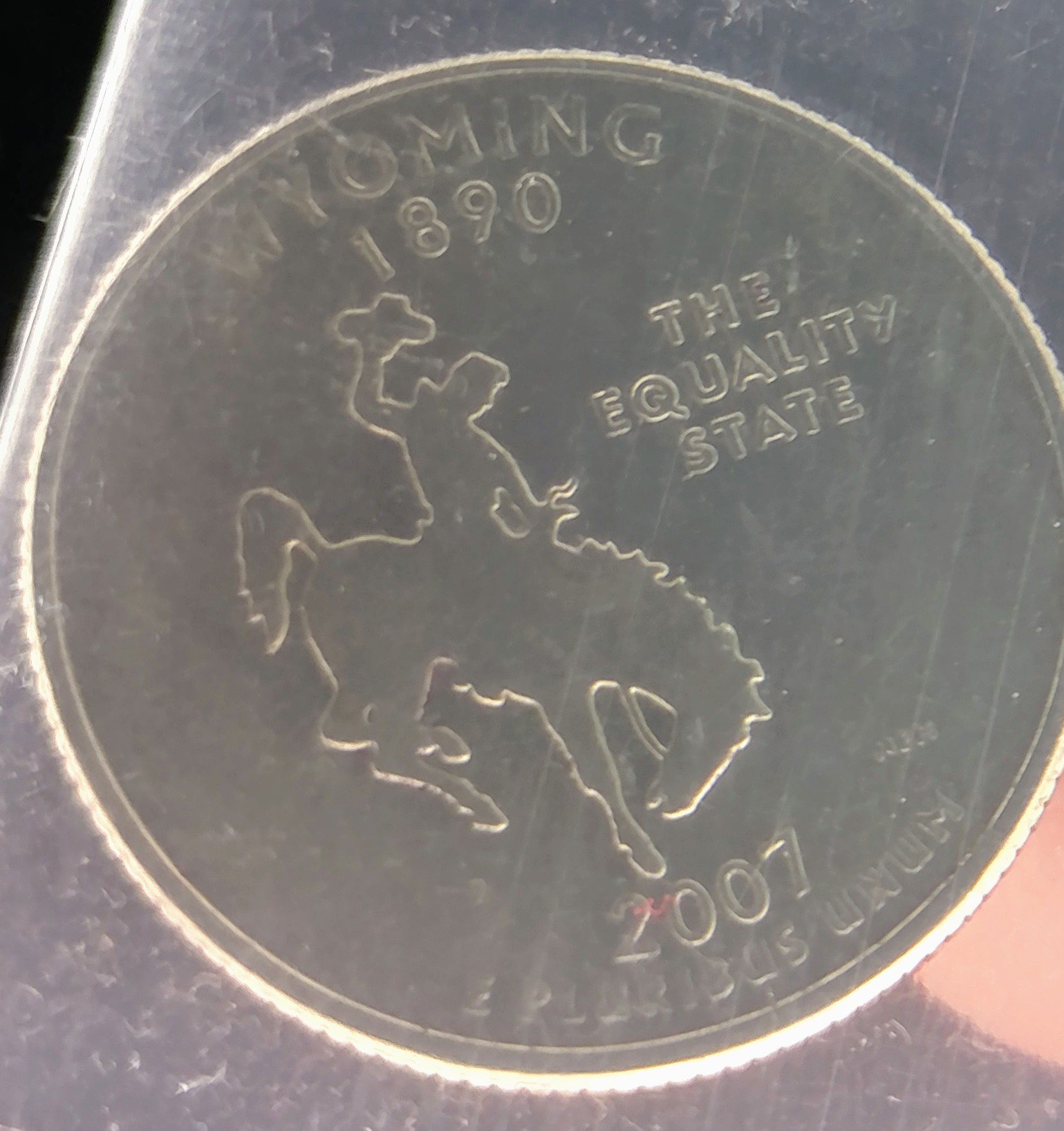 20190117_132508_HDR~2.jpg