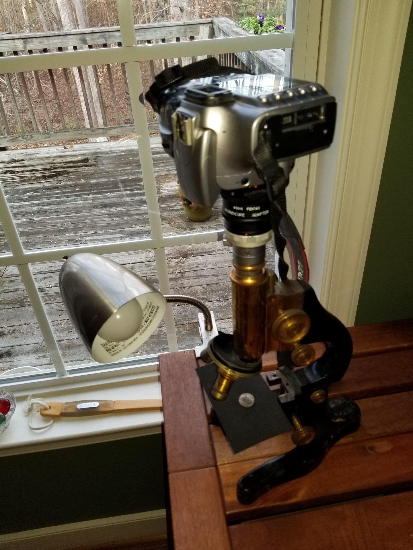 20190118_162046.jpg