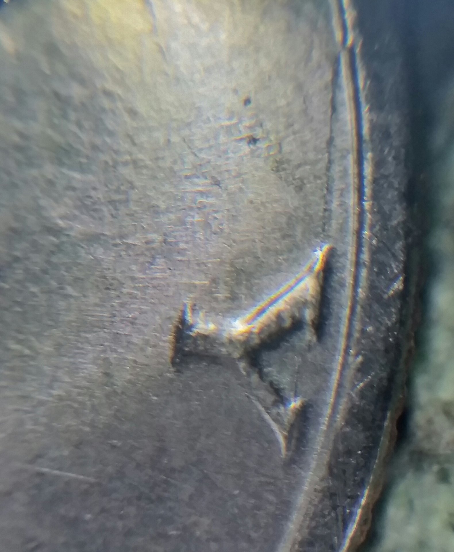 20190124_224252-1.jpg