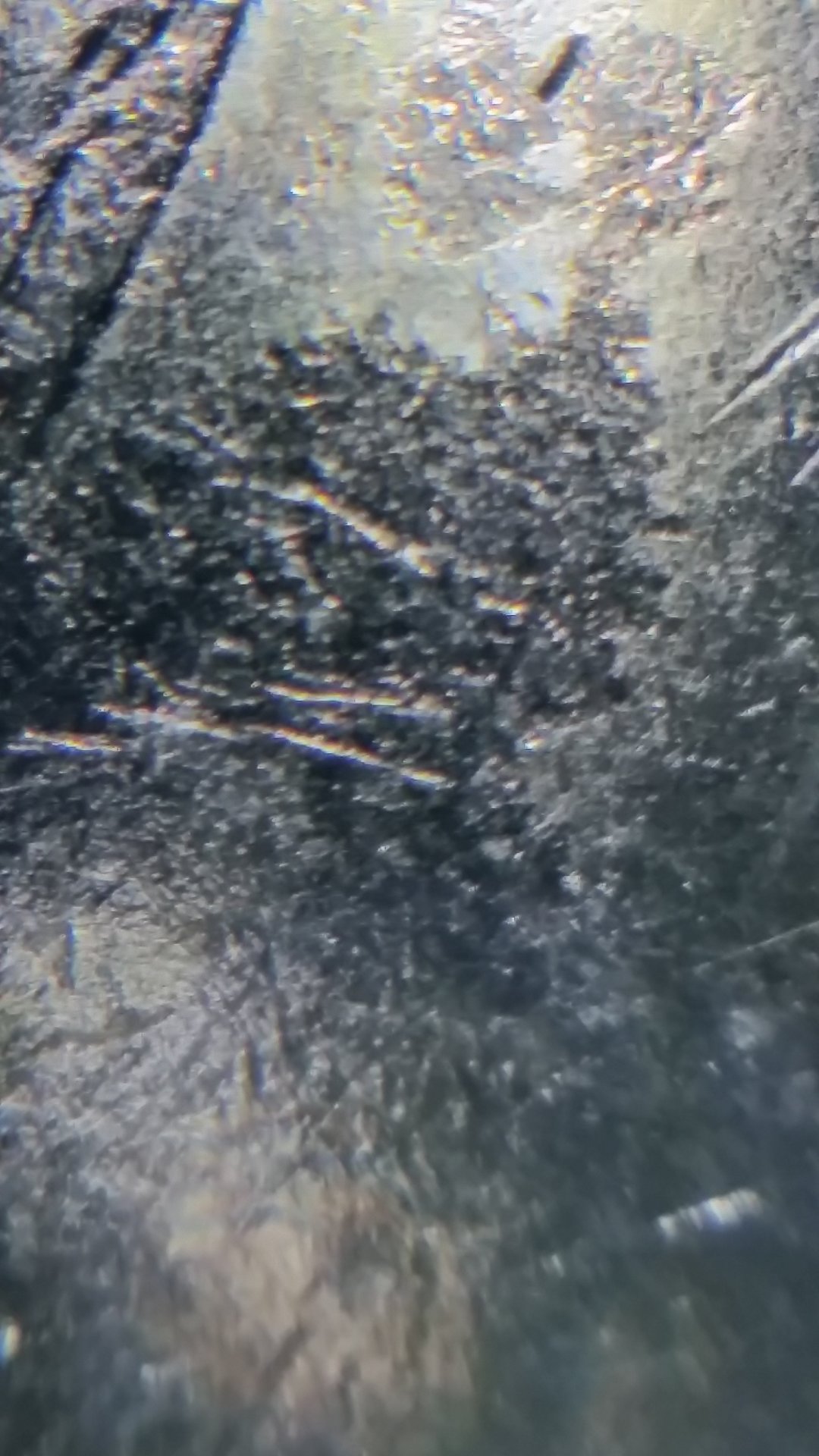 20190127_143640.jpg
