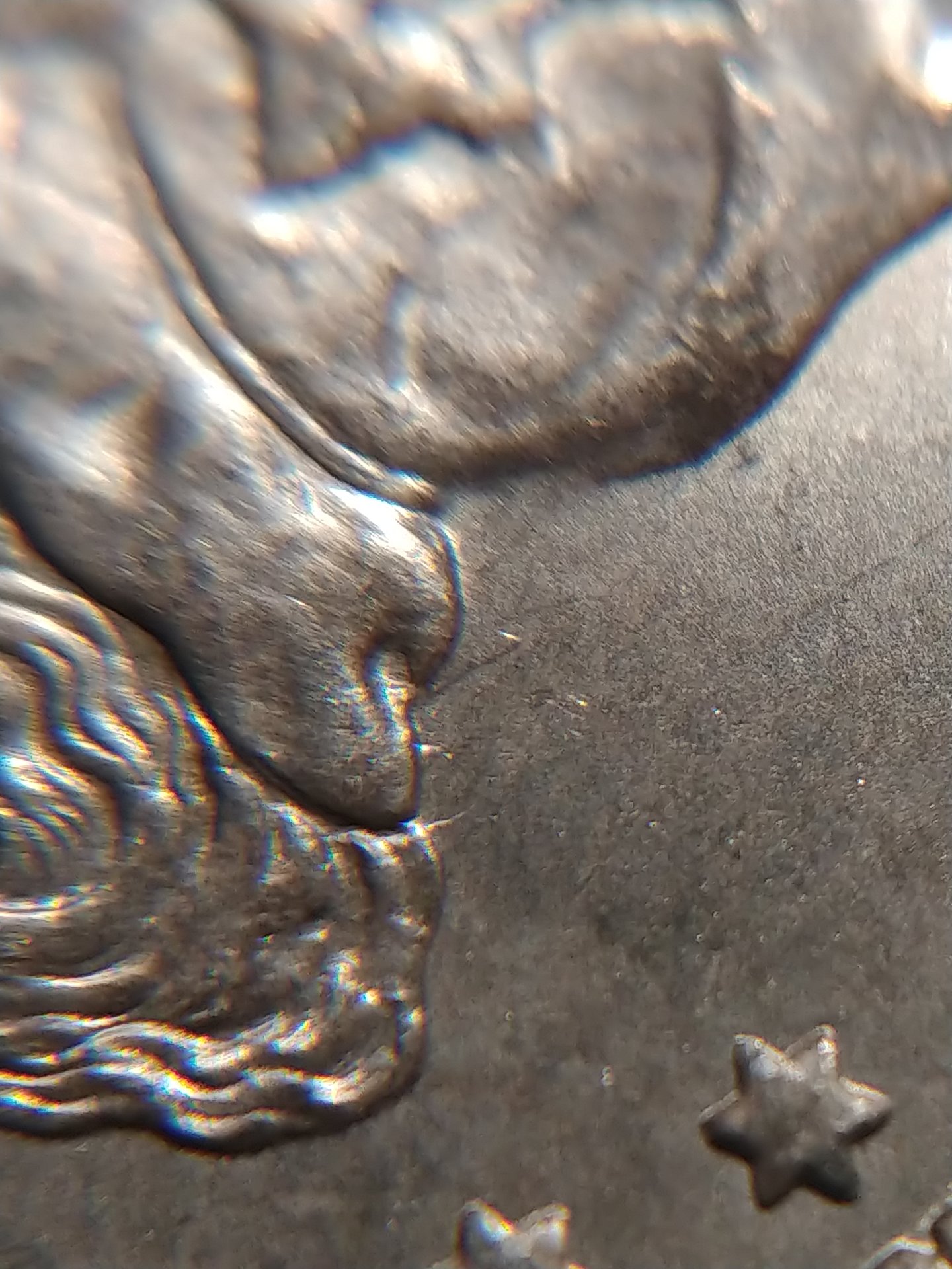 20190128_202909.jpg
