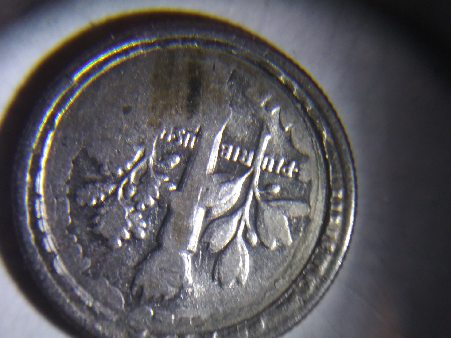 20190131_041334.jpg
