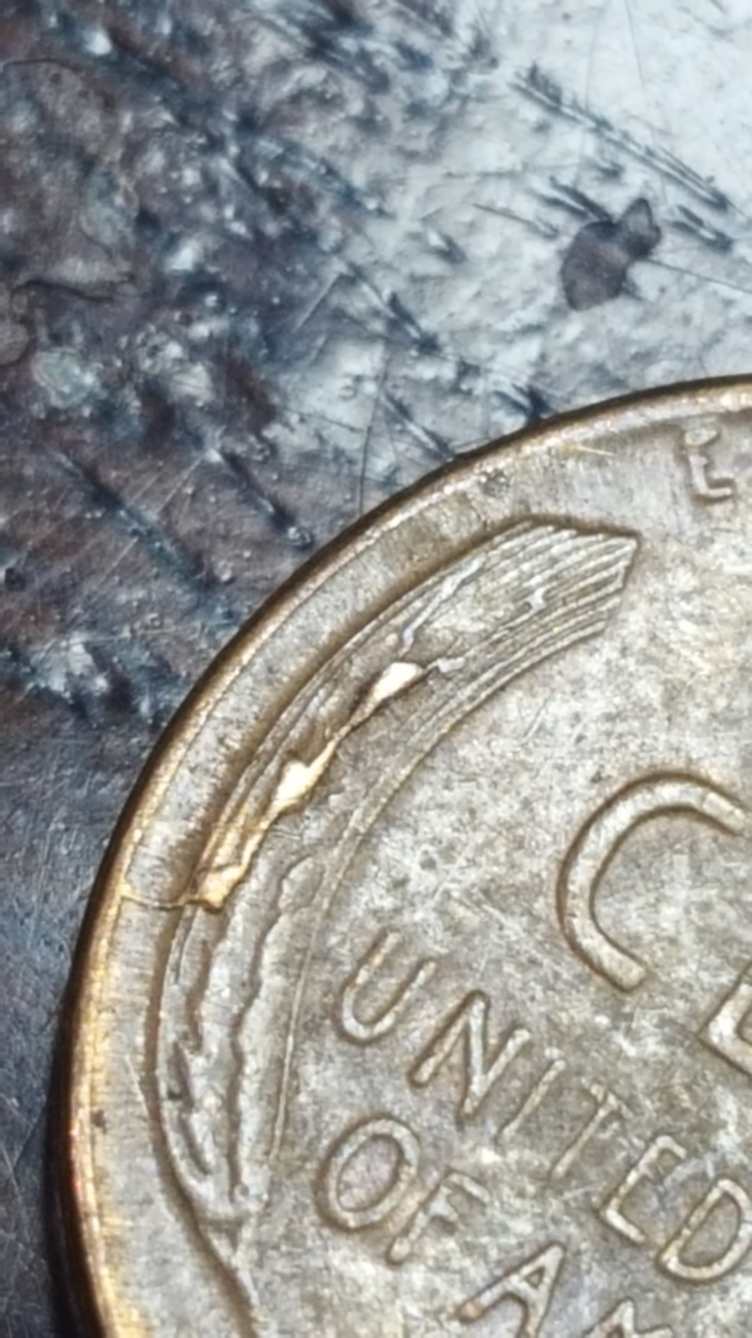 20190131_185133.jpg