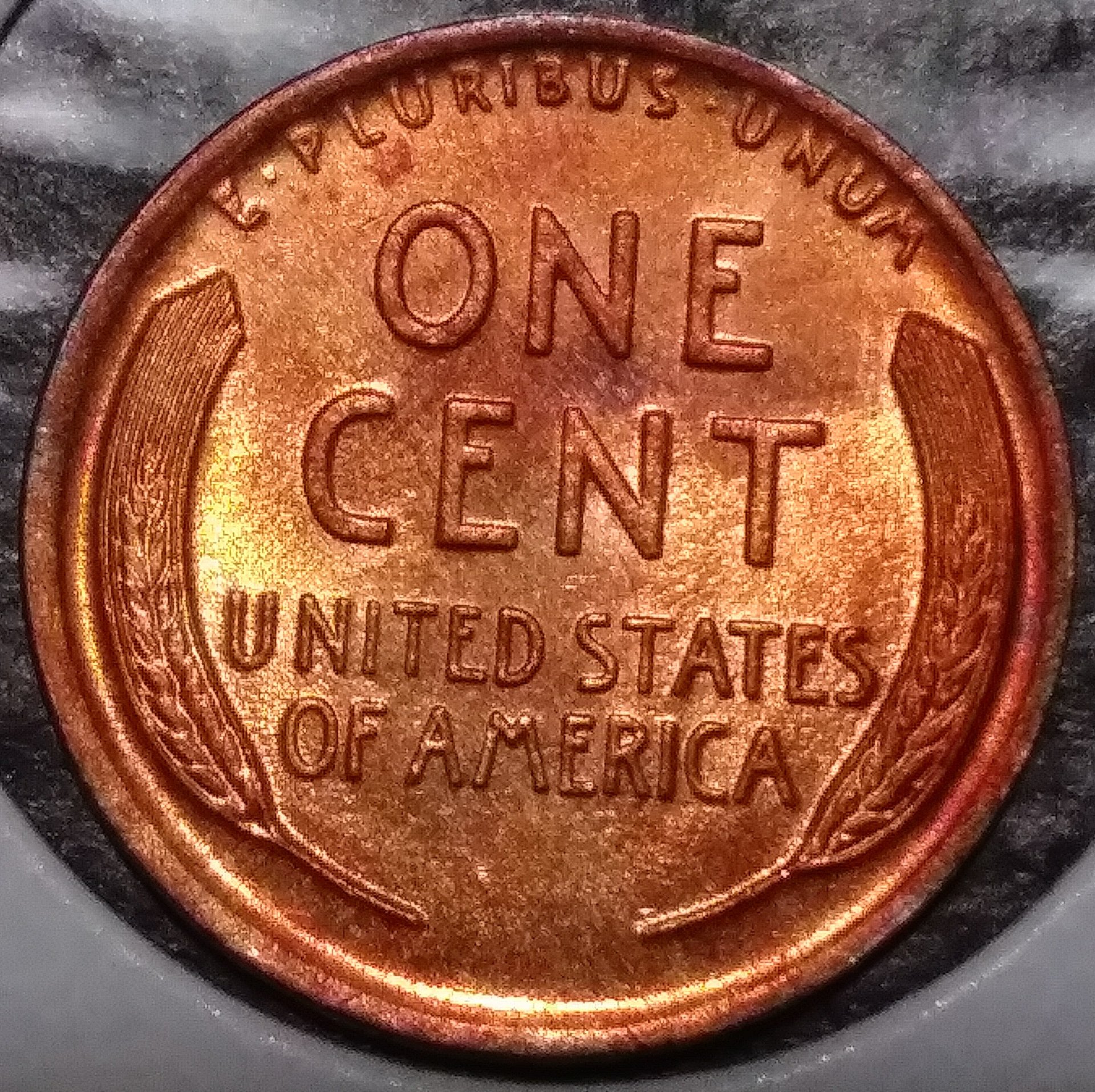 20190202_222142.jpg