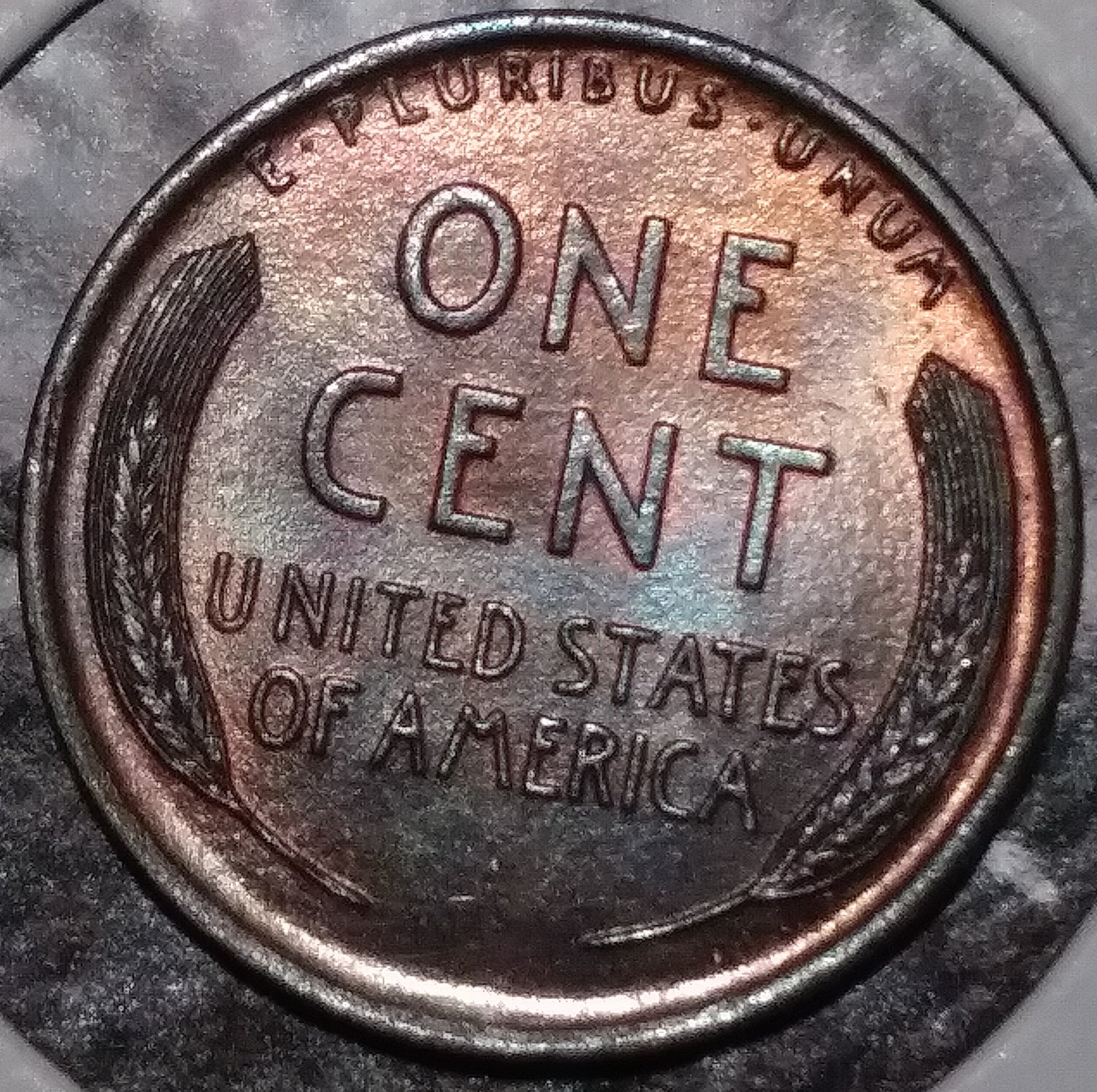 20190202_222335.jpg