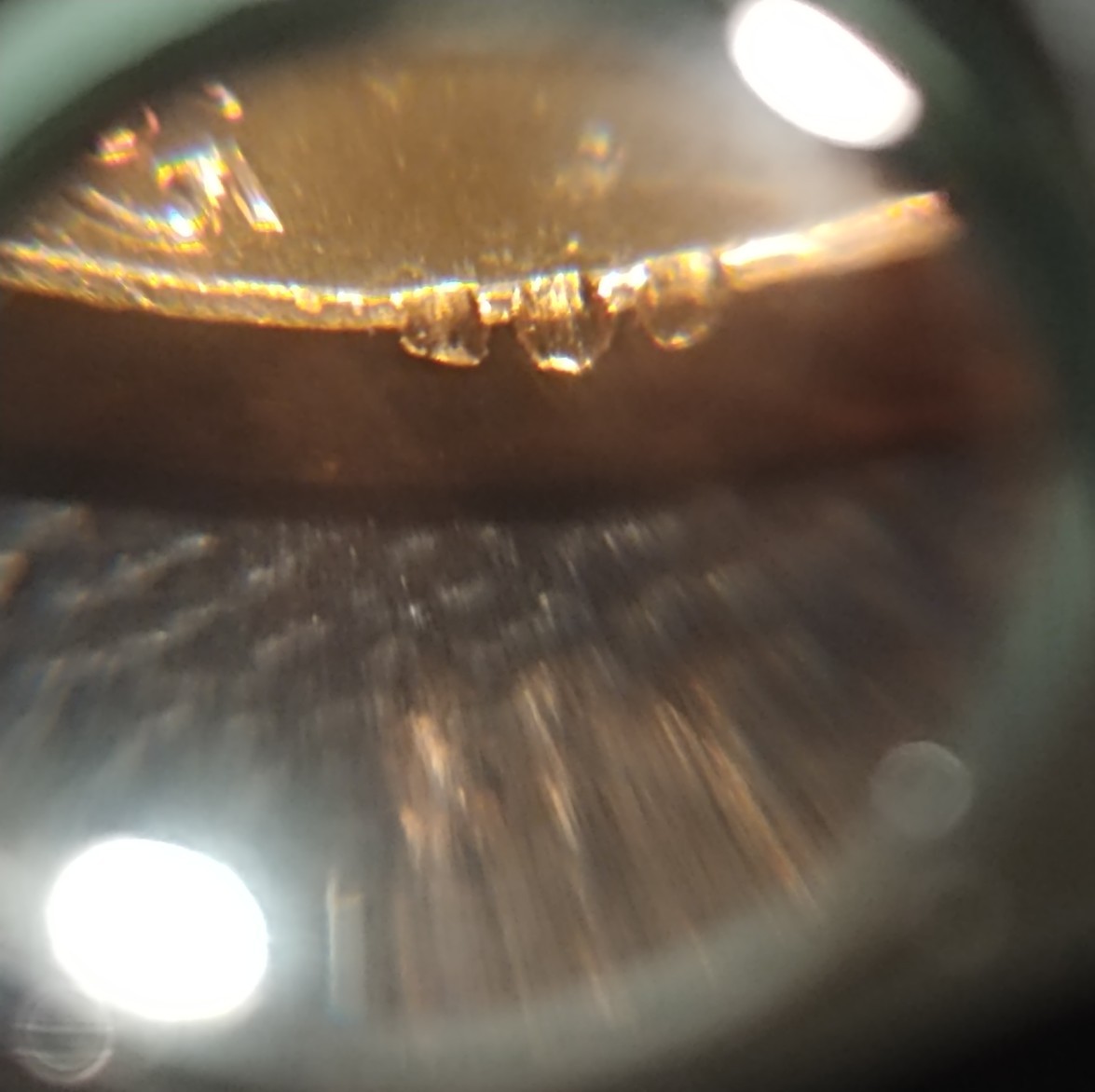 20190203_203944~2.jpg