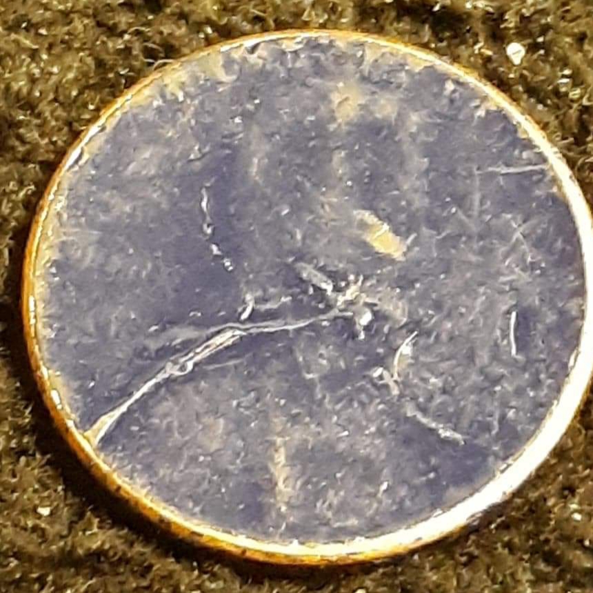 20190205_231953.jpg