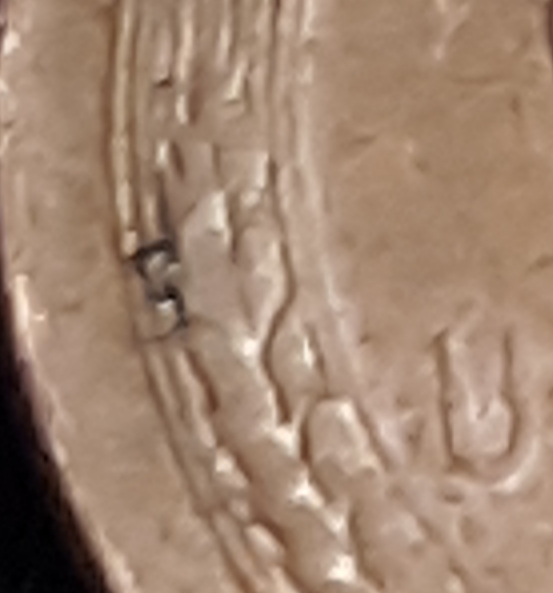 20190206_001238.jpg