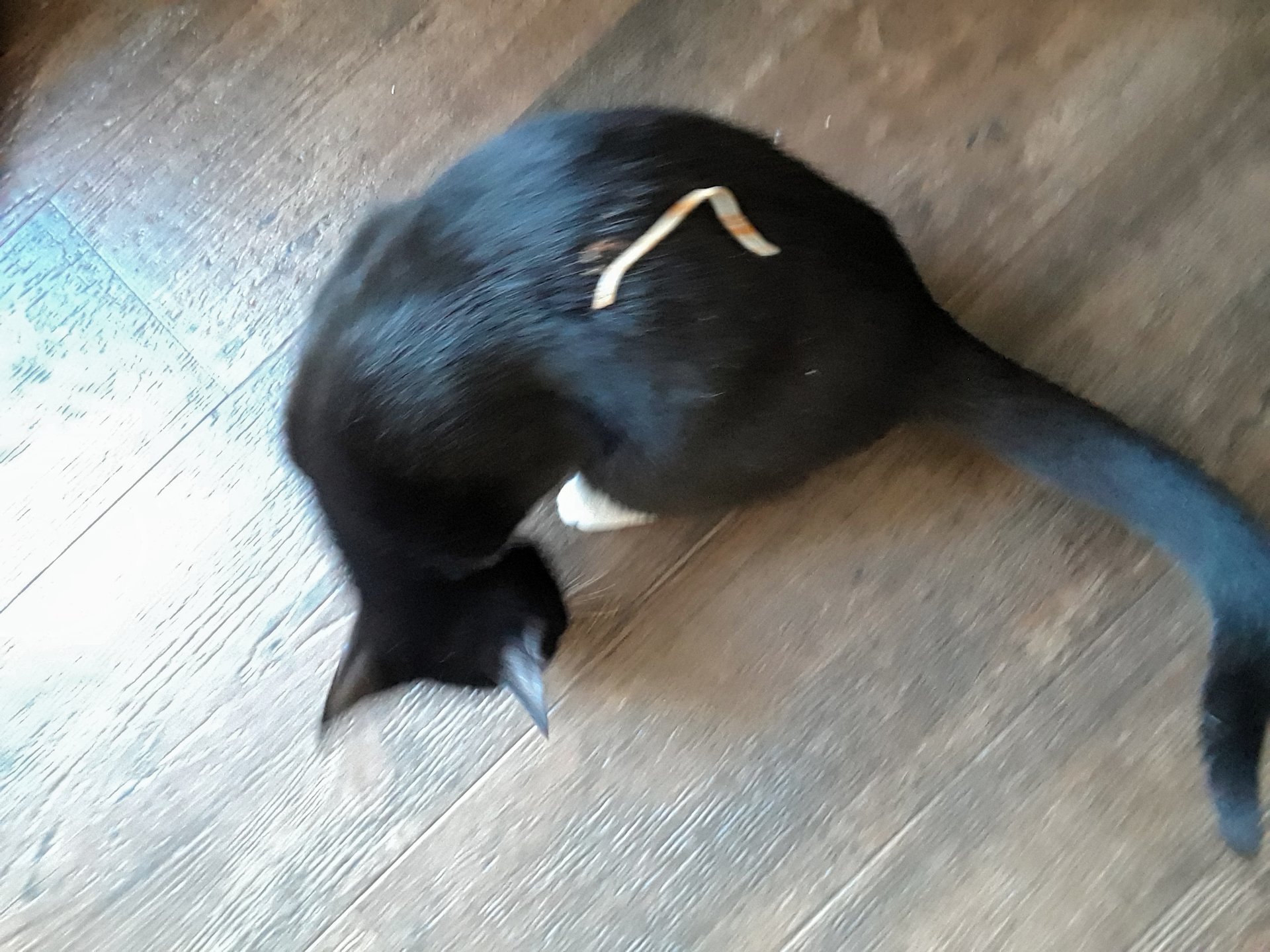 20190214_092133.jpg