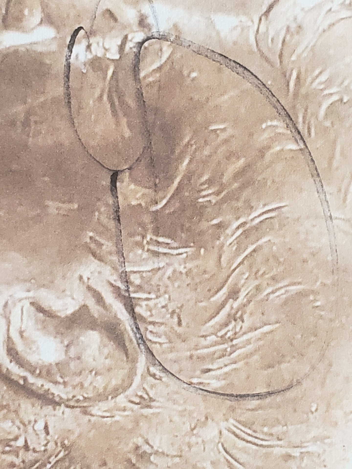 20190215_101314.jpg