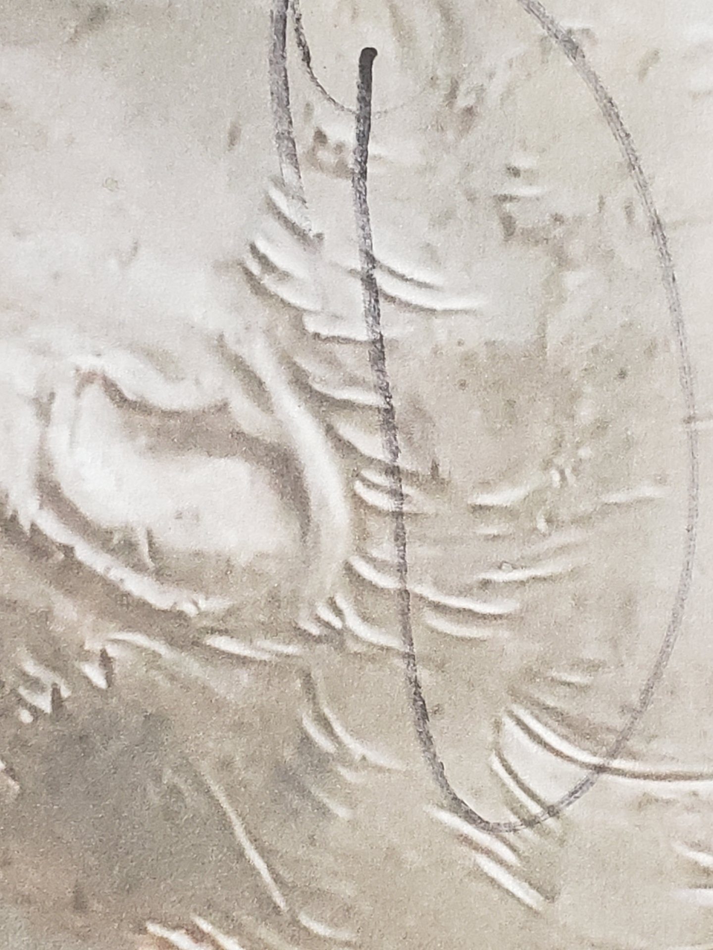 20190215_101318.jpg
