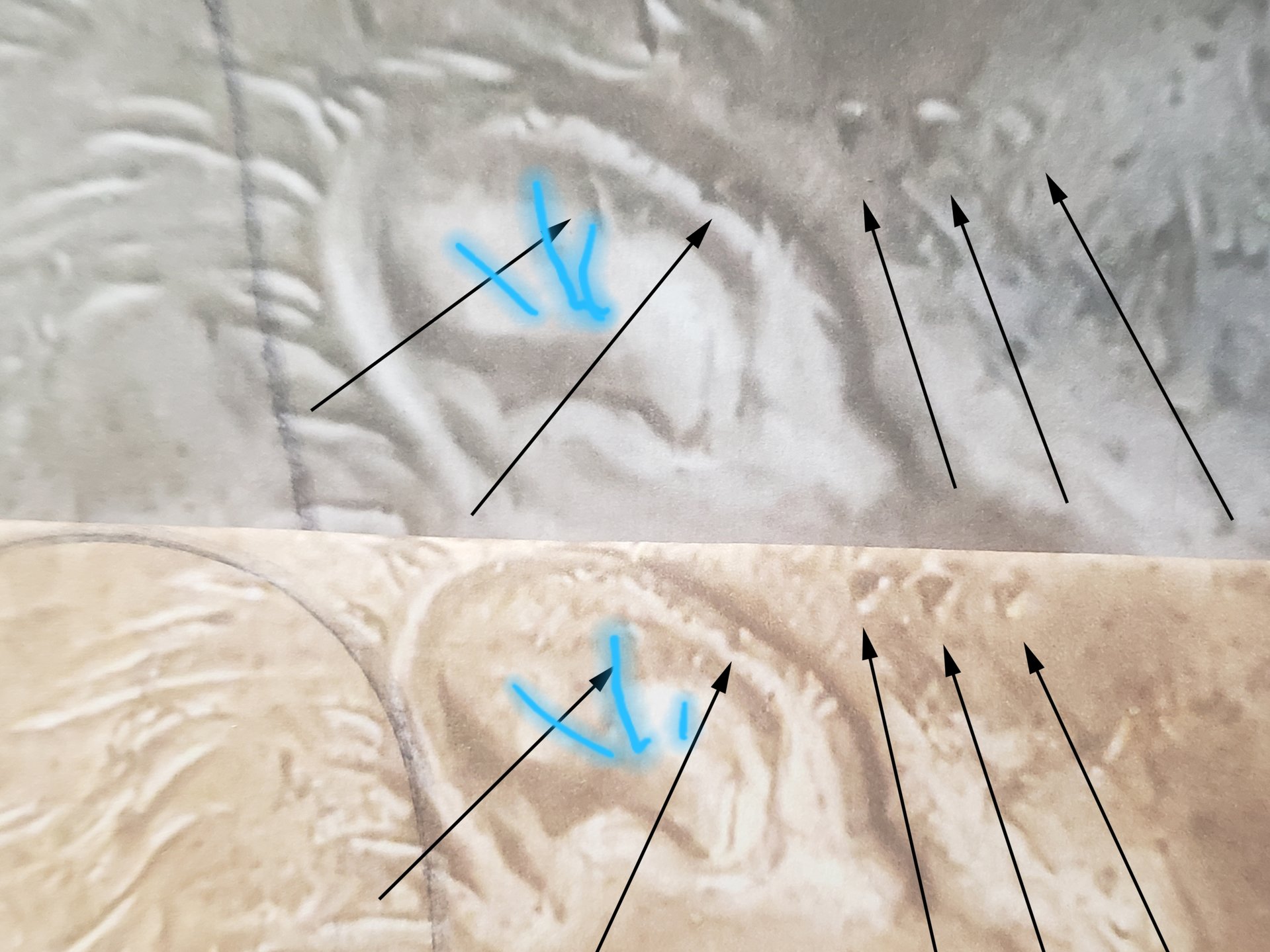 20190215_140217.jpg