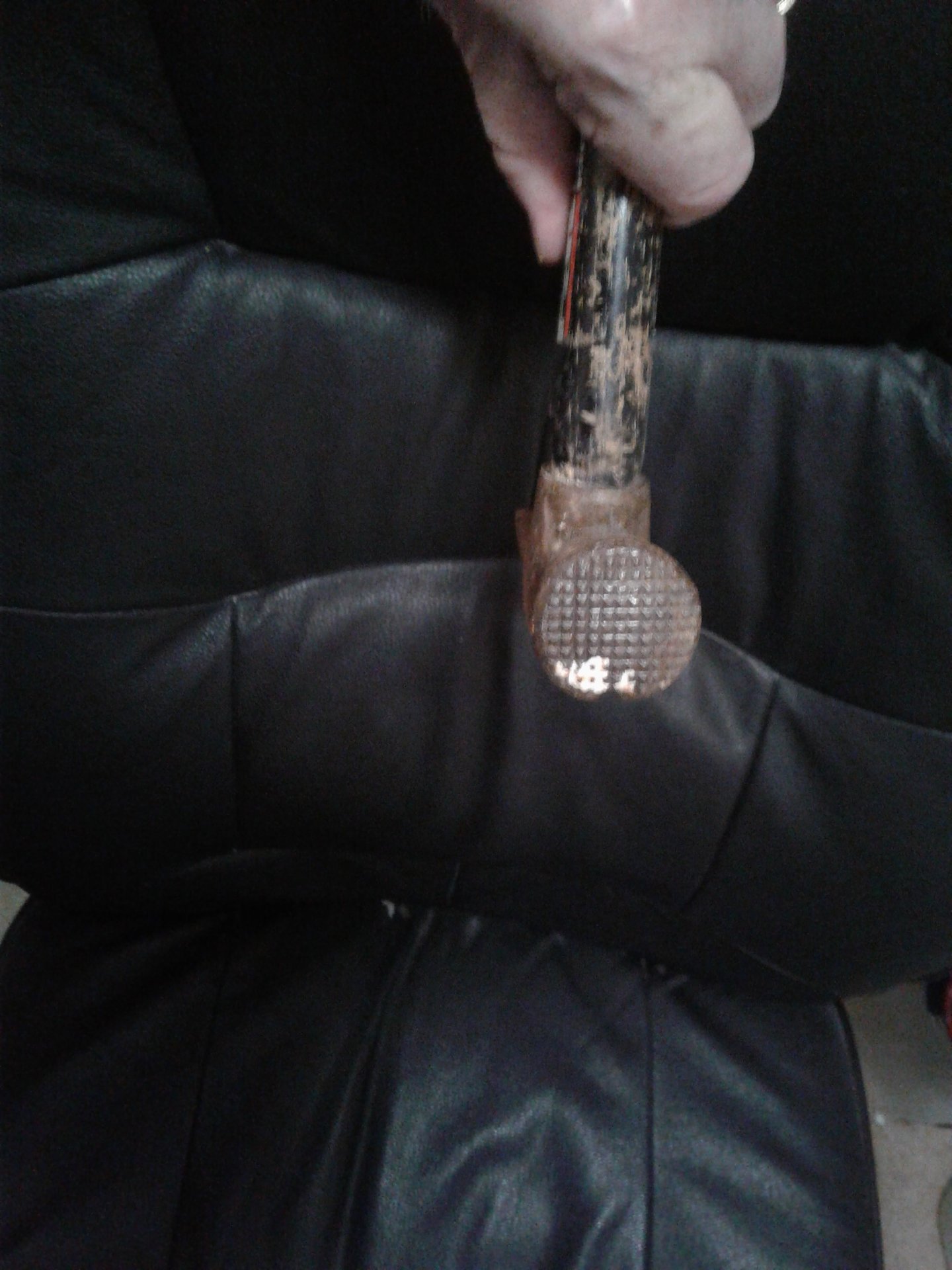 20190221_120327.jpg