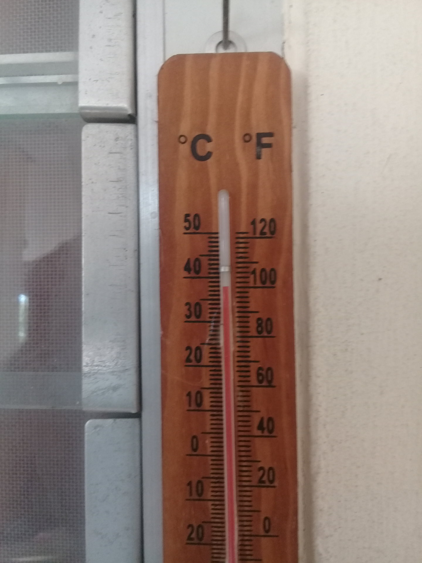 20190224_162704.jpg