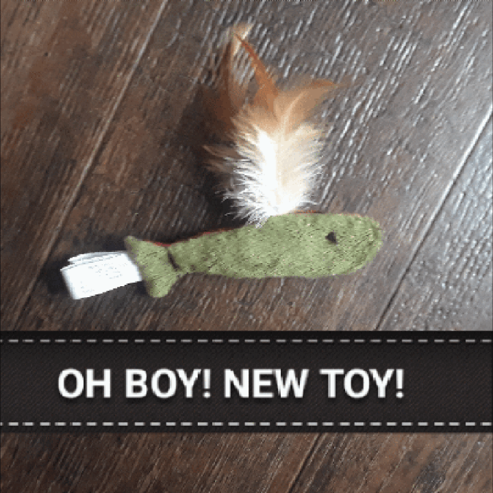 20190228_094618.gif