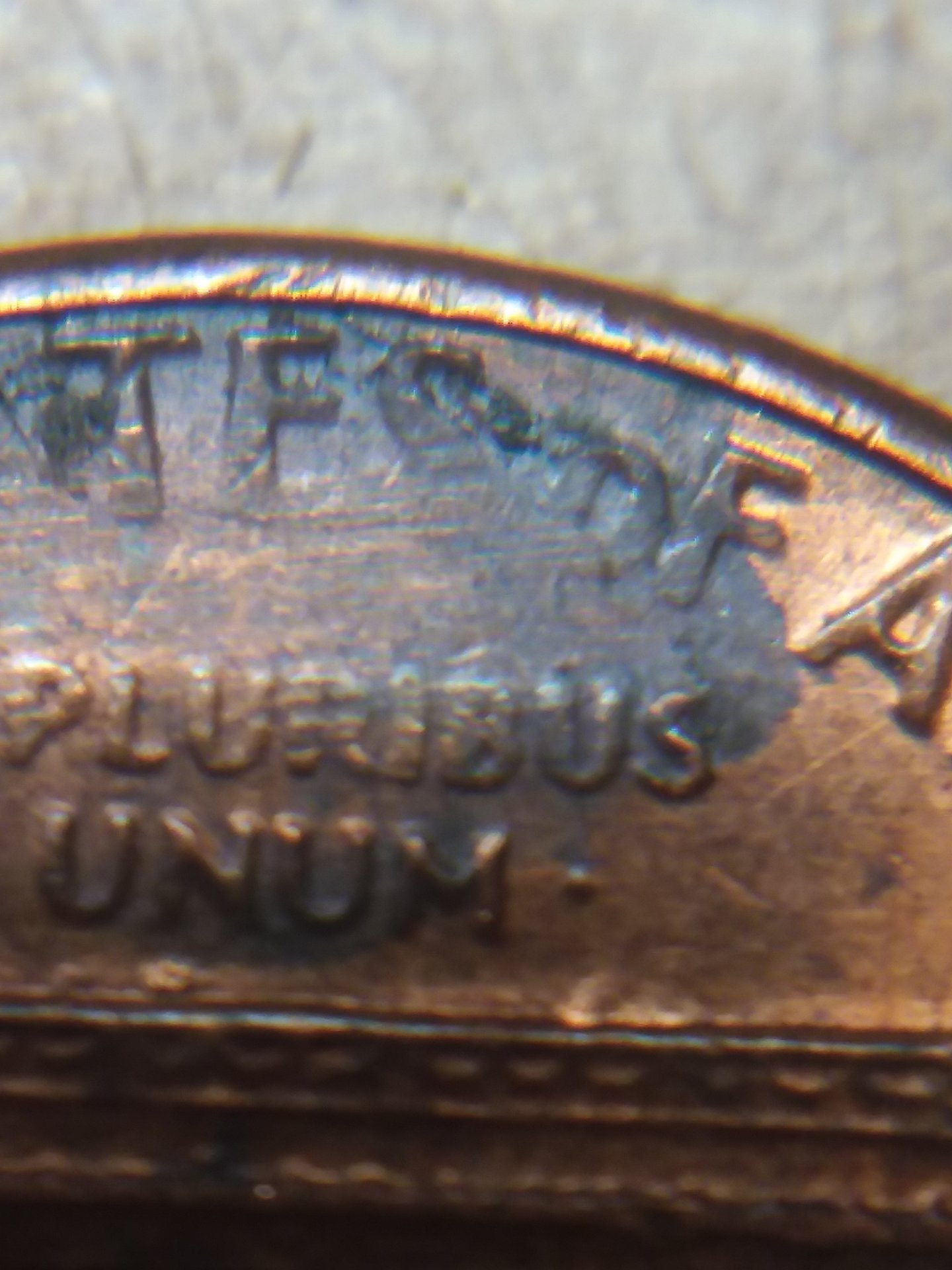 20190302_230434.jpg