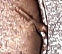 20190302_235319.jpg