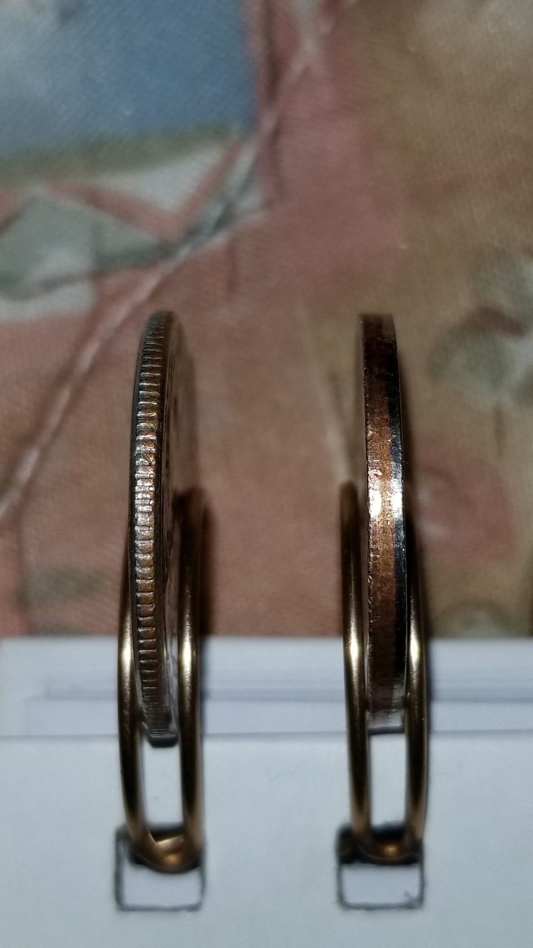 20190307_134212.jpg