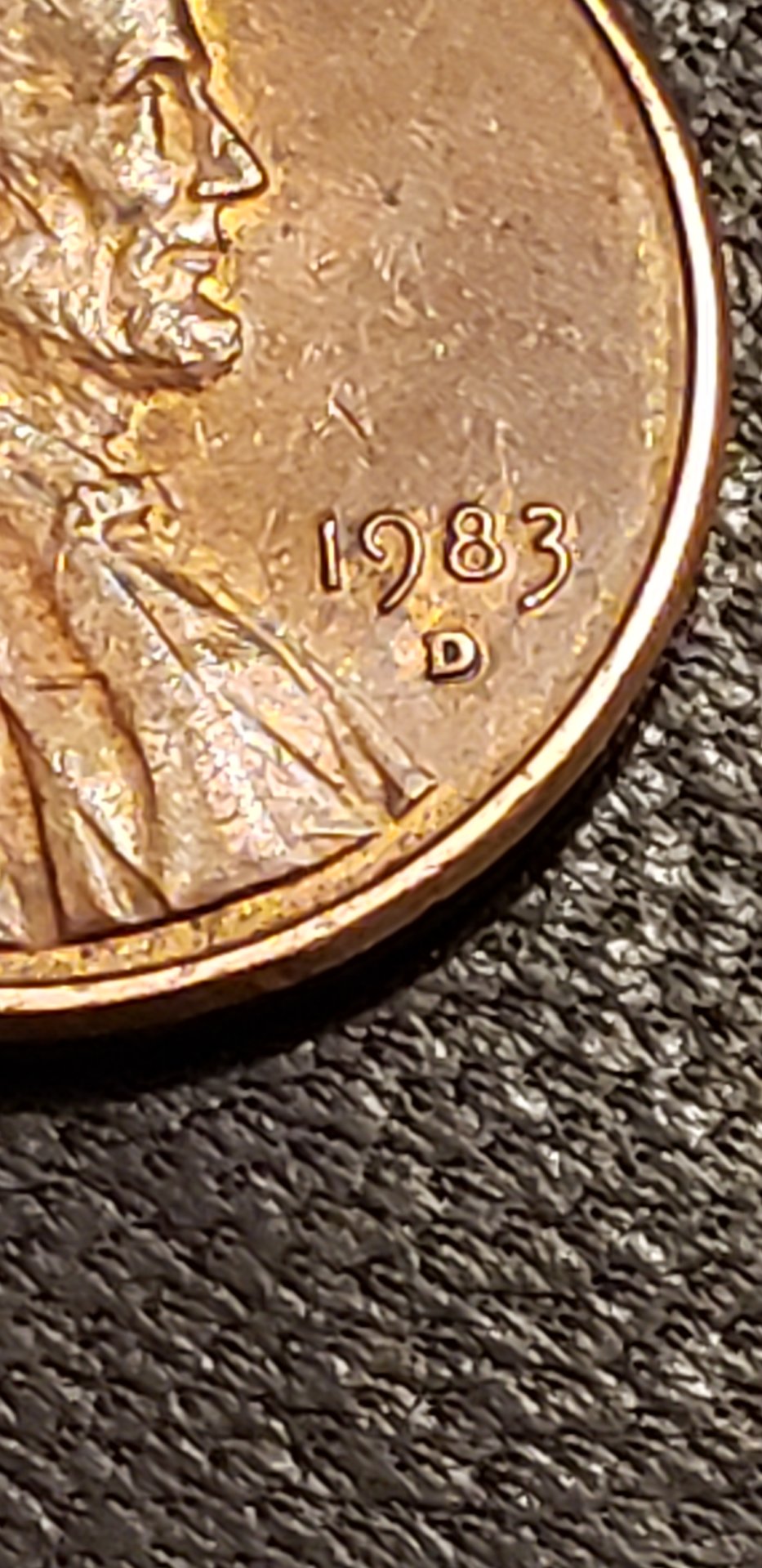 20190311_043158.jpg