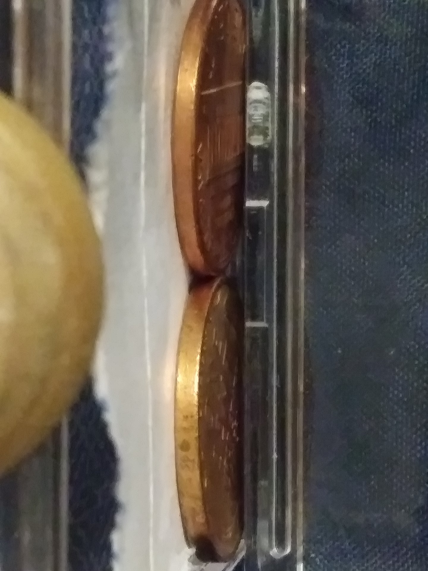 20190311_231638.jpg