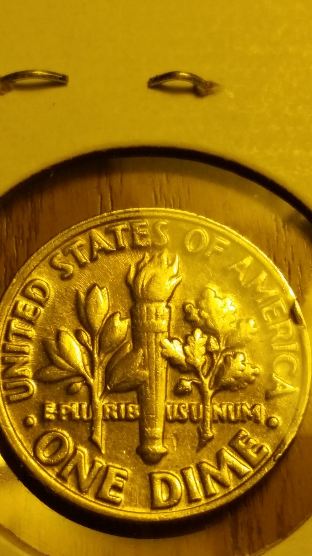 20190315_002751.jpg