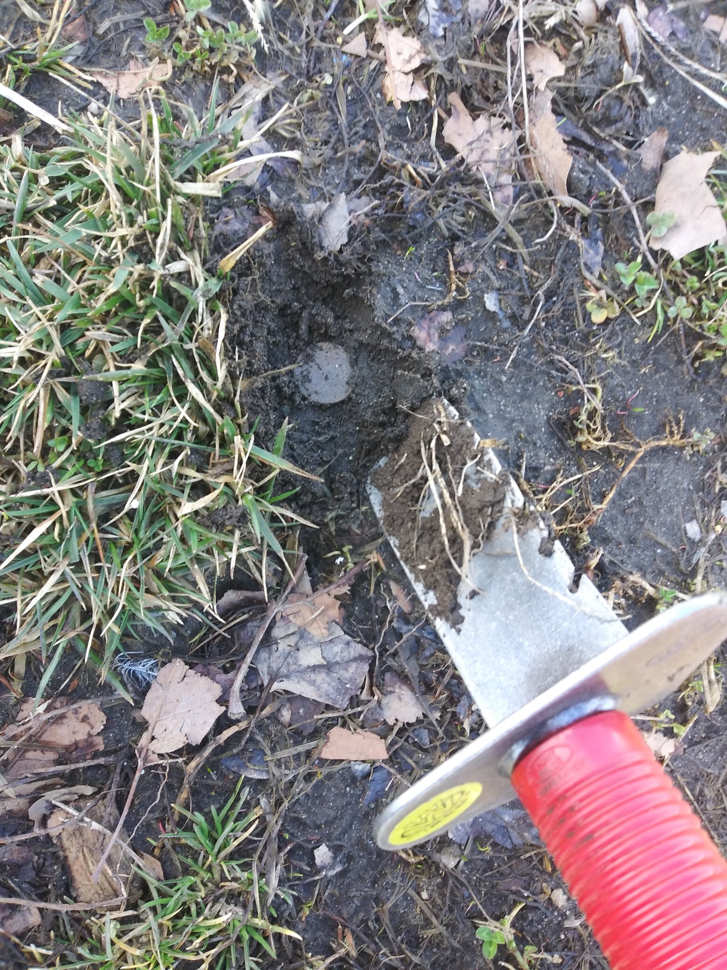 20190316_100759.jpg