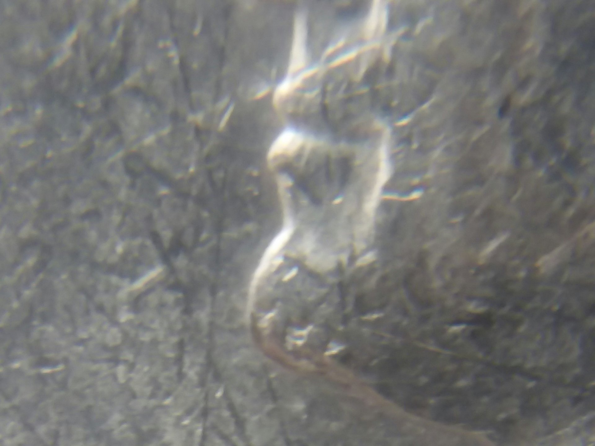 20190322_124318.jpg
