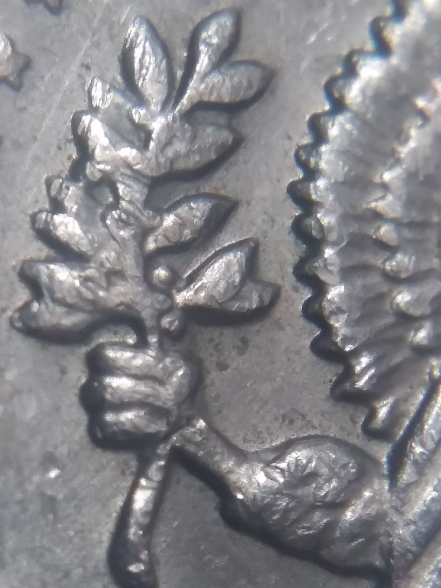 20190322_130456.jpg
