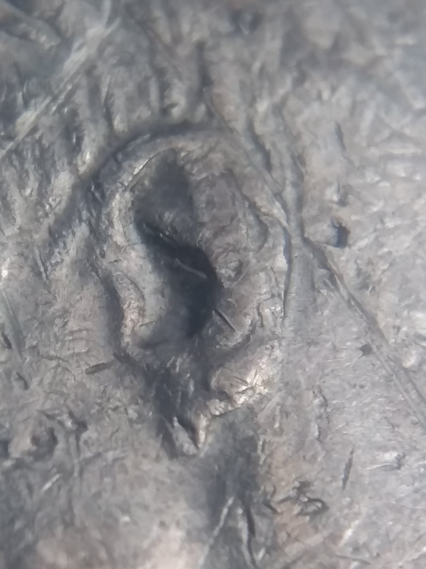 20190322_131434.jpg
