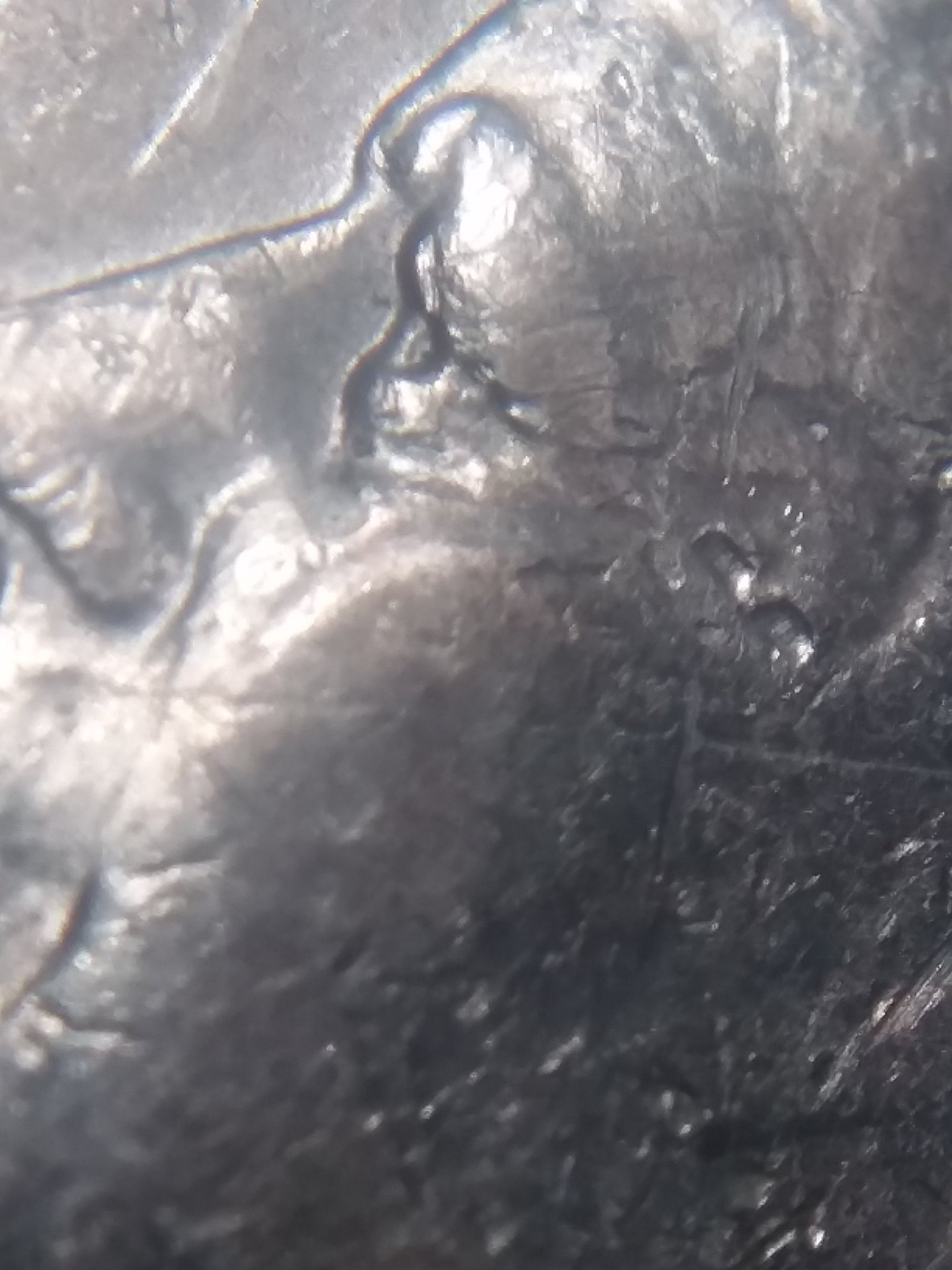 20190322_132251.jpg