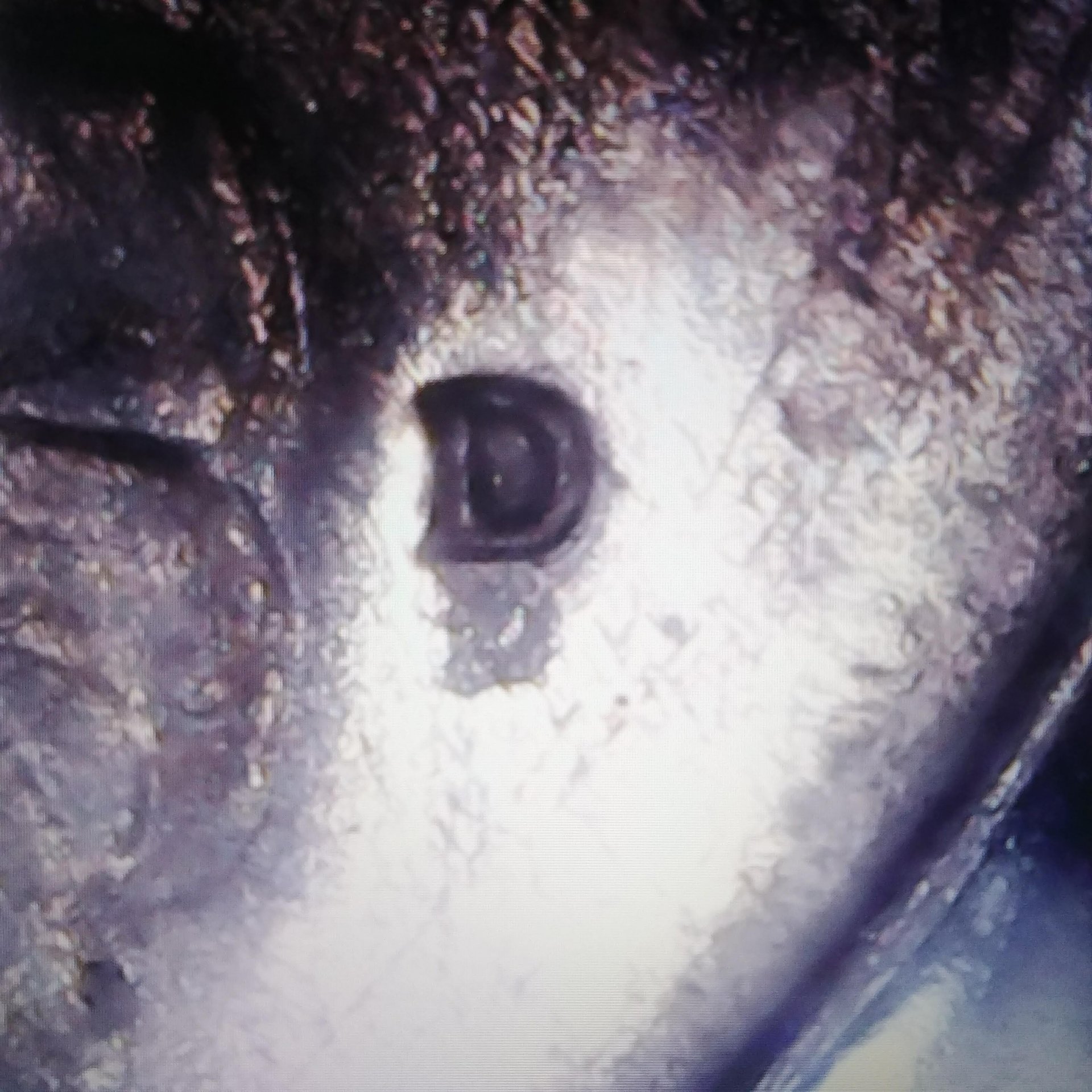20190324_101559.jpg