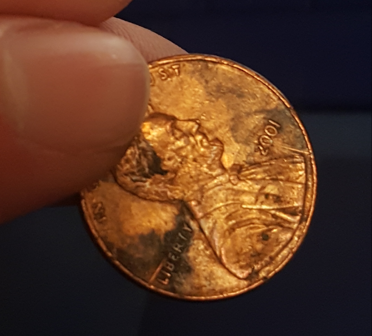 20190324_234640.jpg